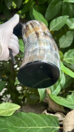 Rustic Handcrafted Buffalo Horn Tankard Mug - Image 9