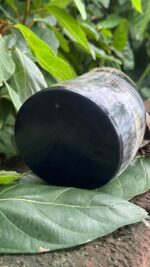 Rustic Handcrafted Buffalo Horn Tankard Mug - Image 3