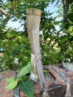 Buffalo Horn With Brass Rim - Image 4