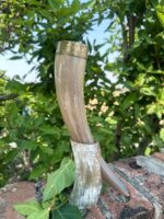 Buffalo Horn With Brass Rim - Image 3