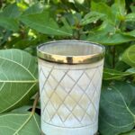 Buffalo Horn Shot With brass Rim