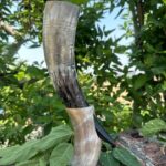 Buffalo Horn Drinking