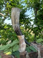 Buffalo Horn Drinking