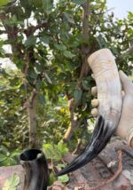 Howling  Fenrir Wolf Drinking Horn - Image 6