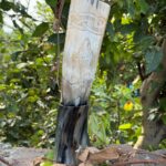 Howling  Fenrir Wolf Drinking Horn