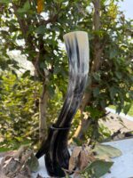 Authentic Hand-Carved Viking Drinking Horn with Vegvísir Compass & Rune Details | Premium Natural Buffalo Horn Mug with Stand - Image 4