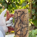 Lichtenberg Burned Wooden Tankard
