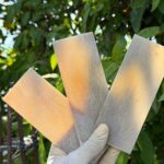 BUFFALO HORN MILK WHITE SCALE  NATUTRAL HORN SCALE HORN PLATES