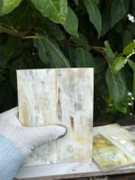Natural Buffalo Horn Sheets Buffalo Horn Plates Buffalo Horn whites Plates Aferican Horn plates buffalo horn scale - Image 9