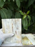 Natural Buffalo Horn Sheets Buffalo Horn Plates Buffalo Horn whites Plates Aferican Horn plates buffalo horn scale - Image 8