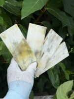 Natural Buffalo Horn Sheets Buffalo Horn Plates Buffalo Horn whites Plates Aferican Horn plates buffalo horn scale - Image 2