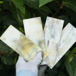 Natural Buffalo Horn Sheets Buffalo Horn Plates Buffalo Horn whites Plates Aferican Horn plates buffalo horn scale