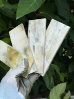 Natural Buffalo Horn Sheets Buffalo Horn Plates Buffalo Horn whites Plates Aferican Horn plates buffalo horn scale - Image 3