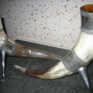 Historic drinking horn collection used as illustrative reference